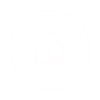 icons8 secure 100