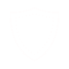 icons8 shield 100